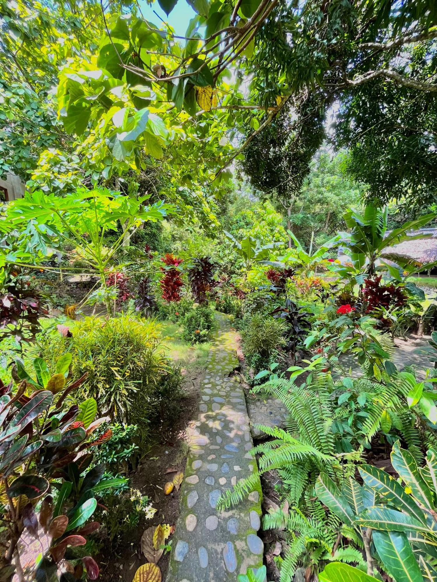 Santuario Tayrona Hostel Calabazo  Екстериор снимка