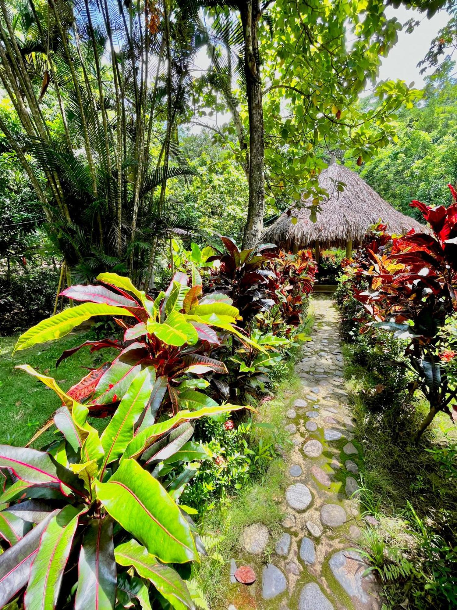 Santuario Tayrona Hostel Calabazo  Екстериор снимка